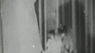 Retro babe's big dick blowjob before hairy pussy smashing