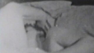 Vintage face sitting and hard cock fucking in threesome action