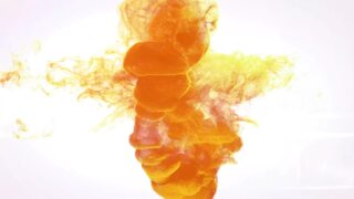 Piss Connoisseur by Wet And Pissy