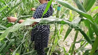 Motor Te Bola Sex Keta Punjabi Thinks Dave