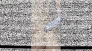 Impaling Whore Submitting to My Dominance While I Take Control