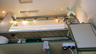 18 yo girl working in white stockings pearl thongs pink