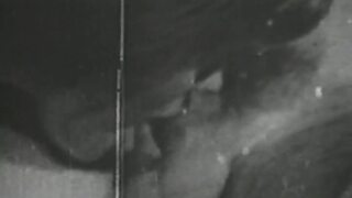 White and black blowjob scenes with a classic woman's allure