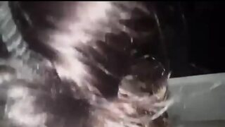 'Step-Sis Sucks Thick Dick🍆, Swallows Cum Like A Pro'