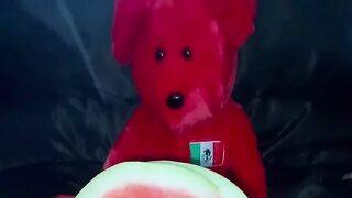 ???? WATERMELON MULTIPLY HOMEMADE FEMALE ORGASMS- FULL ARAB LONG PORN VIDEO 2025- BEST SAUDI AMATEUR- ARABIAN SNOWWHITE KINKY MAST