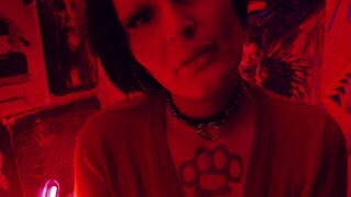 'Come for the scares, stay for the screams'