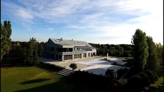 Rocco Wild Group Suck Fest with Horny Babes