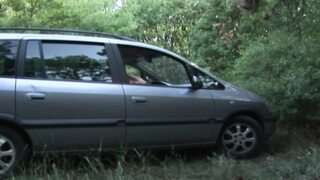 Brunette German slut with huge boobs gets fucked in nature