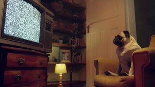 GREEN EYES AND HAIRY PUSSY! SHE SUCKS ME AND I MASTURBATE HER IN A DIRTY HOMEMADE VIDEO! - Benefit Monkey